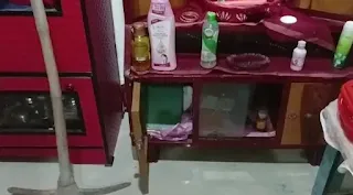 thief in house