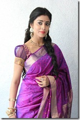 Shriya Saran Beautiful Photo Shoot Stills