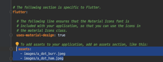 flutter pubspec asset 2 screenshot