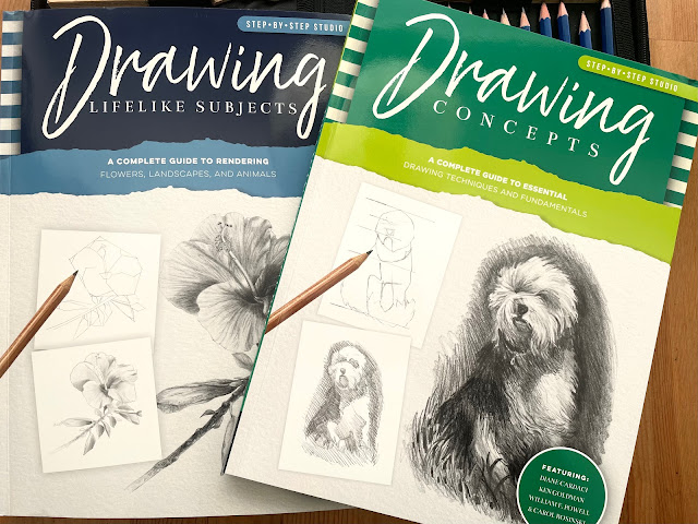 drawing books