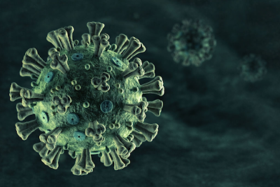 What is coronavirus