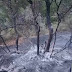 Άμεση η παρέμβαση της πολιτικής προστασίας του Δήμου Ξηρομέρου, σε φωτιά κοντά στο δρόμο του Αη Λια στο Καραϊσκάκη.   