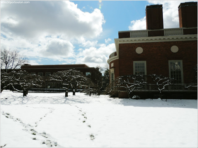 Primavera Nieve 2016 Universidad Harvard