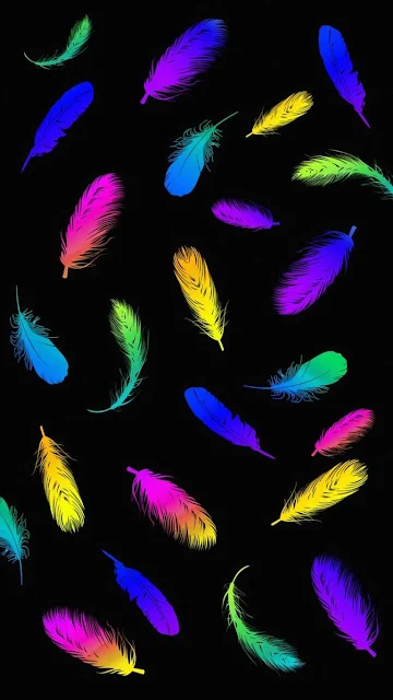 Colorful Feathers In Dark iPhone Wallpaper