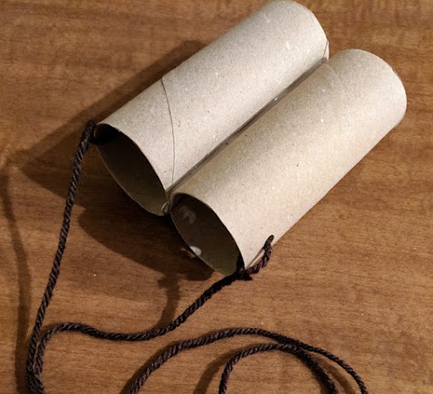 Toilet Paper Roll Binoculars 