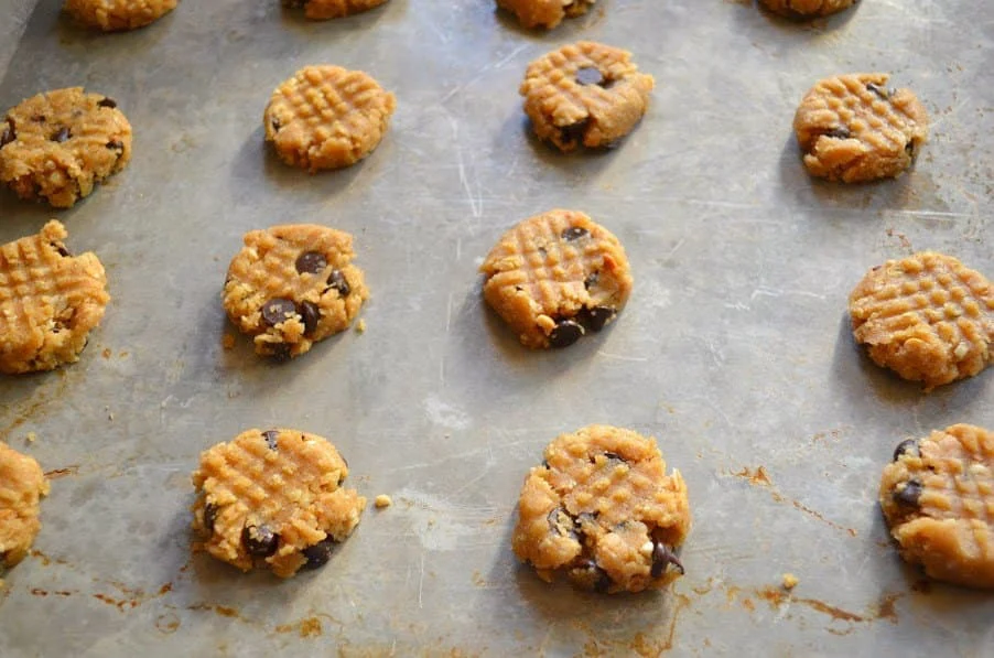 Hatch marks on top of Flourless Peanut Butter Oatmeal Chocolate Chip Cookie ball patties on a baking sheet.