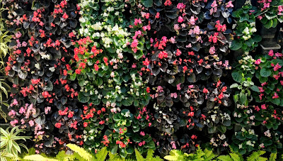 flowering vertical garden