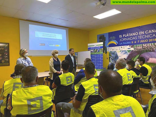 El Cabildo moviliza más de 1,6 millones de euros del Fdcan para estimular el empleo en La Palma