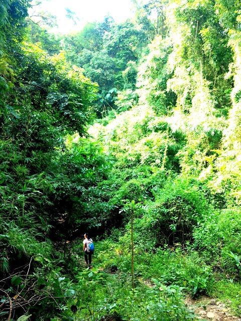 Hiking Pico De Loro