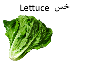 أسماء الخضروا بالانجليزية بالصور Vegetables In English Fc4eeefd148