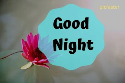 latest Good Night Images for Whatsapp Free Download