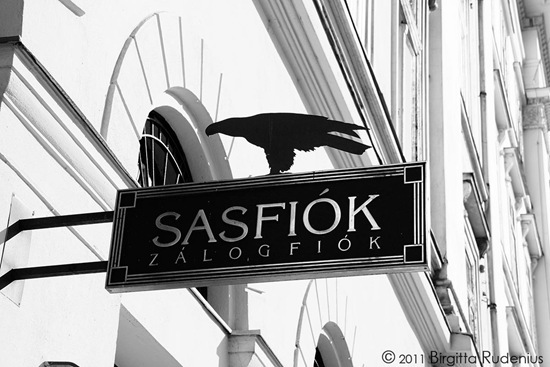 sign_20111002_bird
