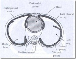 clip_image006