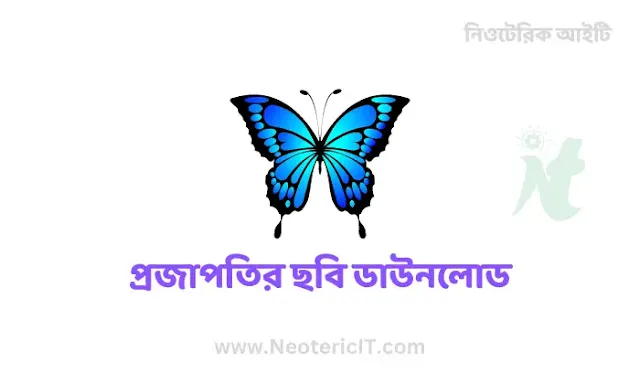 Butterfly Pic Download - Butterfly Drawing - Butterfly Wallpaper - projapoti pic - NeotericIT.com