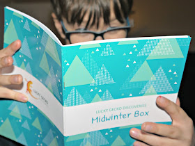 Lucky Gecko Midwinter Activity Box