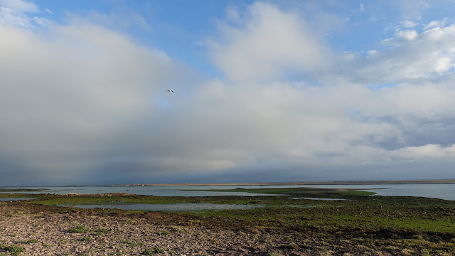 Rio Deseado