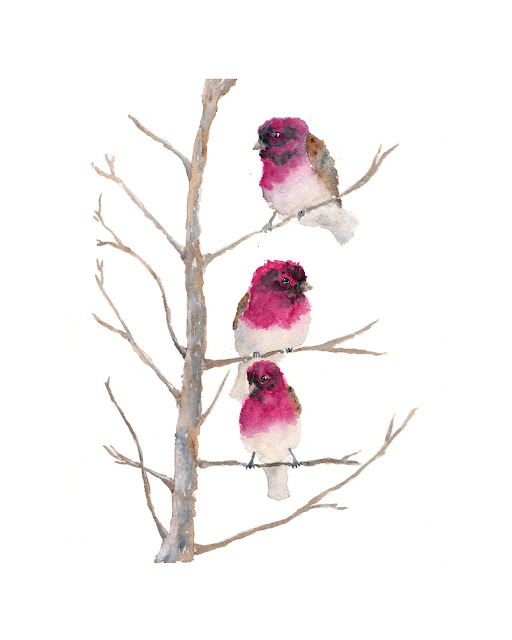 Watercolor Paintings Of Birds