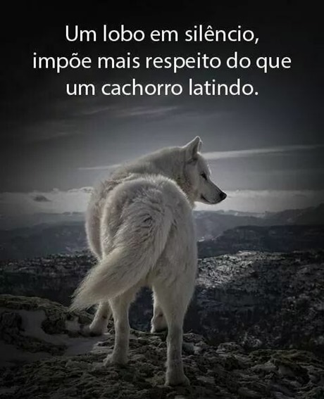 lobo