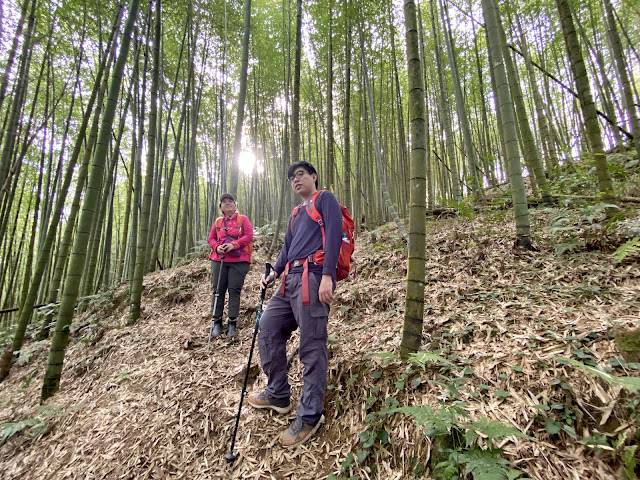 往水桶寮山