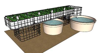 Commercial Aquaponic Systems