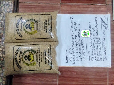 Benih padi yang dibeli   MULYANI Mukomuko, Bengkulu.  (Sebelum packing karung).