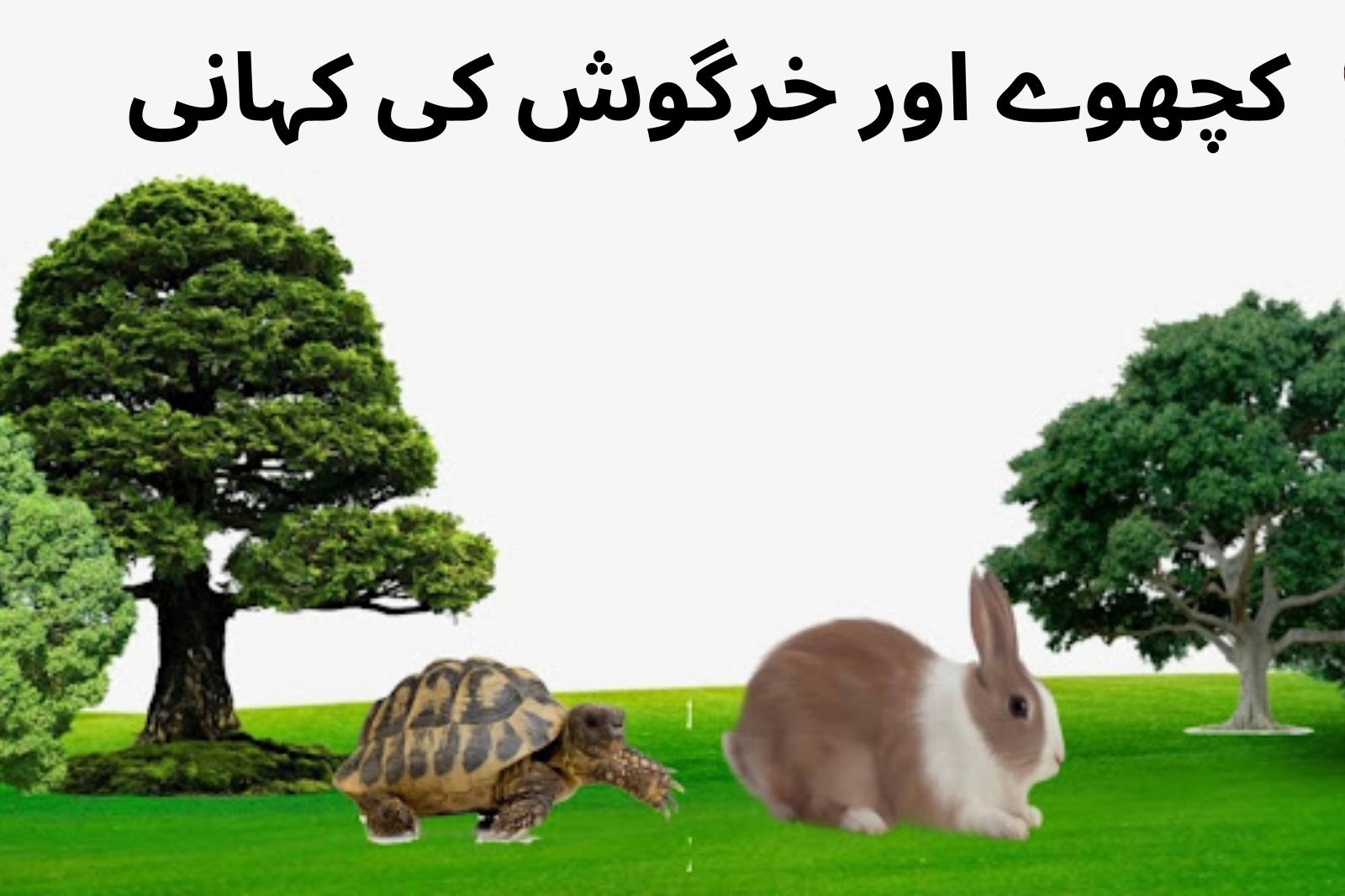 کچھوے اور خرگوش کی کہانی