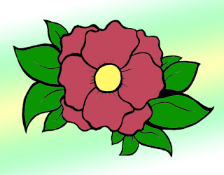 Camellia Drawing