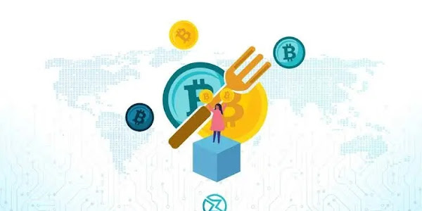 Fork (Çatallanma) Ne Demek? Hard Fork Nedir?