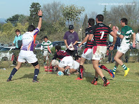 universitario salta rugby tigres