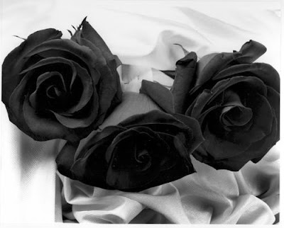 Black Roses