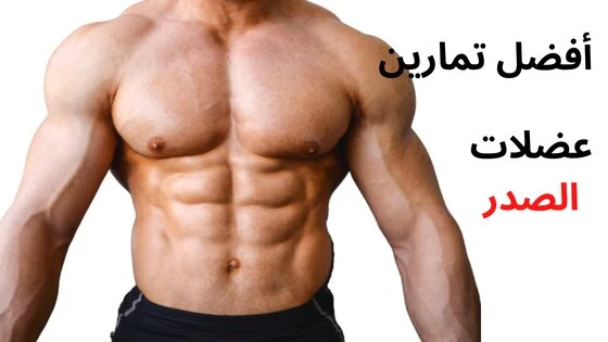 أفضل 8 تمارين الصدر للحصول على صدر ضخم 2023