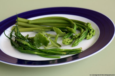 Dips sauvages de fragon, salsifis et ombilic