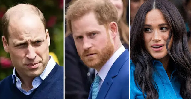 The Allegations of Bullying in the Royal Family: Prince William's Perspective on Meghan Markle's Behavior Towards Prince Harry