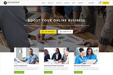  Business Hub | Responsive WordPress Theme