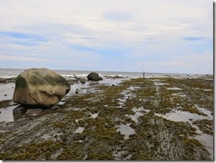 IMG_3984