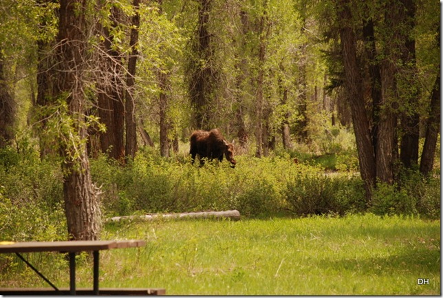 06-06-13 B Tetons Gros Ventre CG