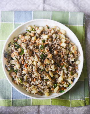 Pearl barley khichdi 