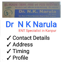 About Dr. N K Narula ENT Doctor in Kanpur