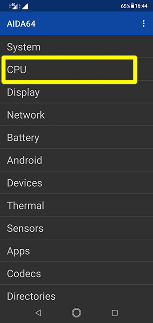 AIDA64 CPU