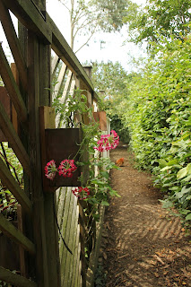 How to make pallet wood and orange box wood hanging planters