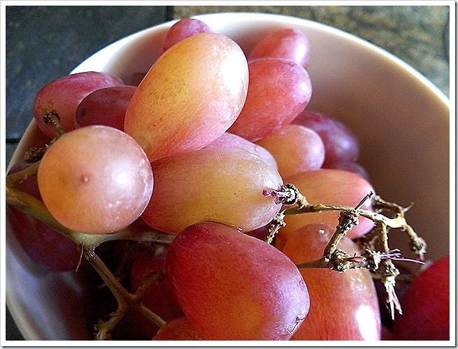 free-images-of-grapes-1 (2195) free-images-of-grapes-1 (2195)