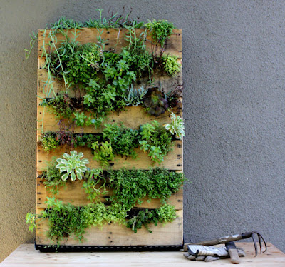 http://www.designsponge.com/2011/09/diy-project-recycled-pallet-vertical-garden.html