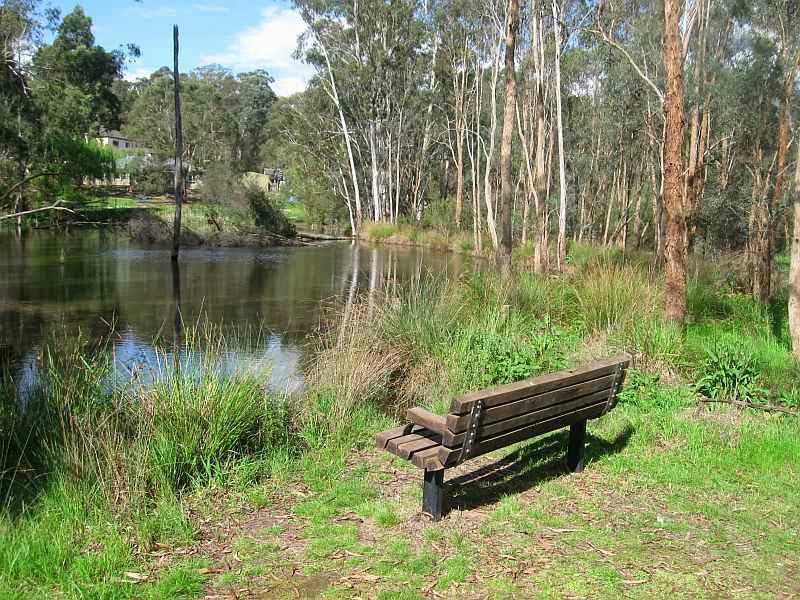 Wetland Habitat