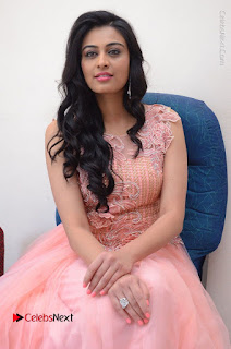 Actress Neha Hinge Stills in Pink Long Dress at Srivalli Teaser Launch  0130.JPG