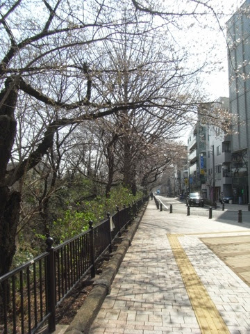 日本 14mar 仙台 山形 會津若松 東京day11 三鷹美術館 上野公園 六本木大樓夜景