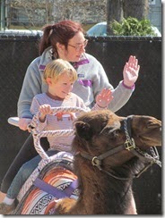 zoo with meme 024