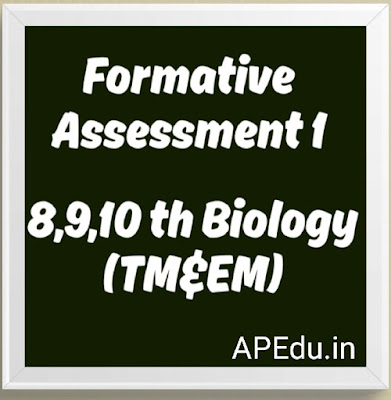 Formative Assessment 1 Modal papers