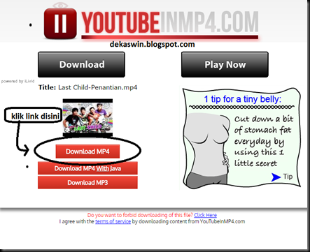 download video di youtubeinmp4