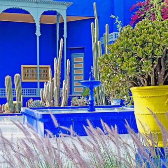 officialjardinmajorelle-1484610864133