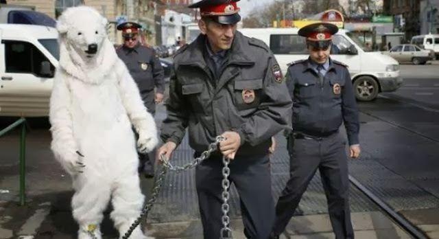 Divertidas imágenes del trabajo de la policía de todo el mundo